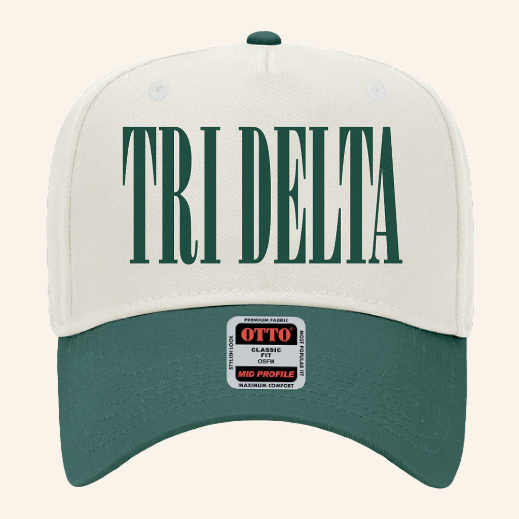 ADPI Merch Chi Delta Embroidered Hat Birthday Ideas For Husband - Lilybirchmarket