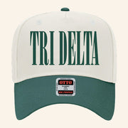 ADPI Merch Chi Delta Embroidered Hat Birthday Ideas For Husband - Lilybirchmarket