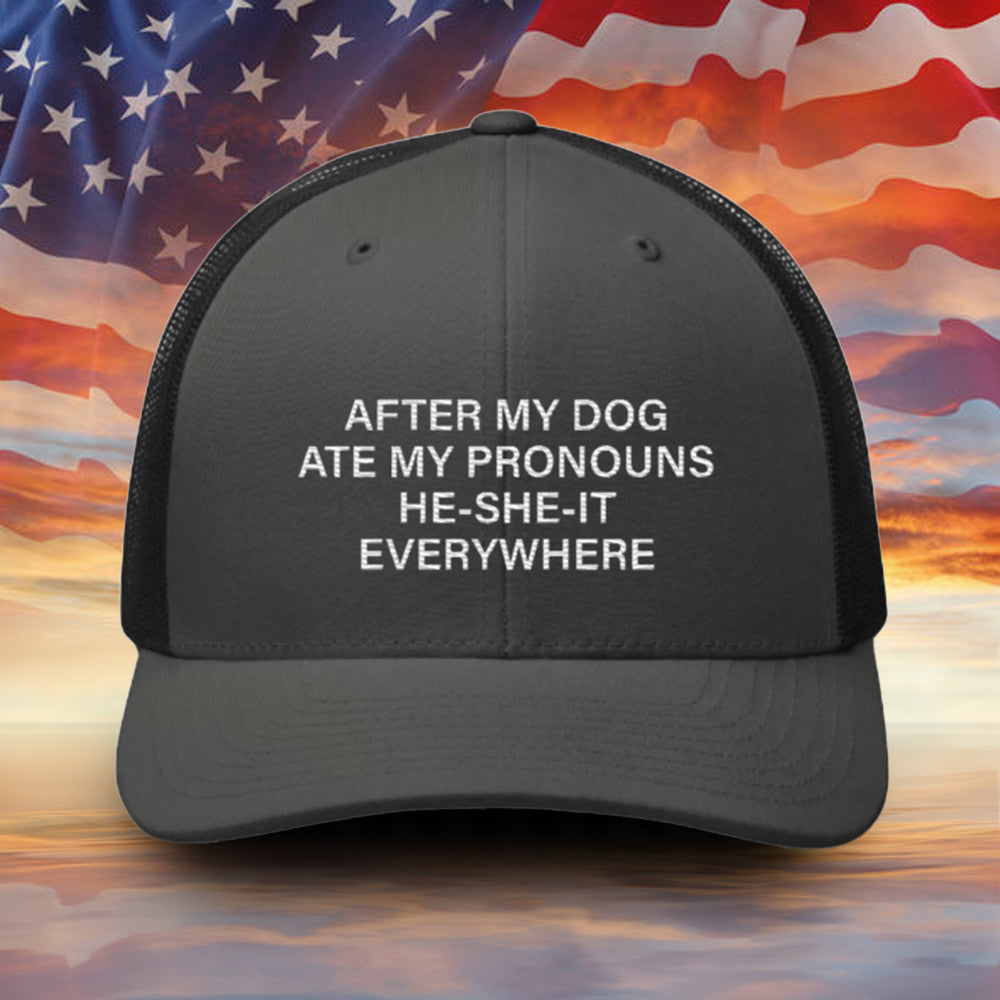 After My Dog Ate My Pronouns He She It Everywhere Embroidered Hat Funny Sayings Men Hat Gift - Lilybirchmarket