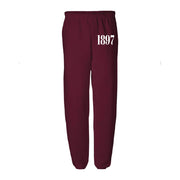 Aoii Merch Alpha O 1897 Sweatpants Gift Ideas For Best Friends - Lilybirchmarket