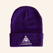 Audiochuck Merch So Supernatural Beanie Christmas Gifts For Husband - Lilybirchmarket