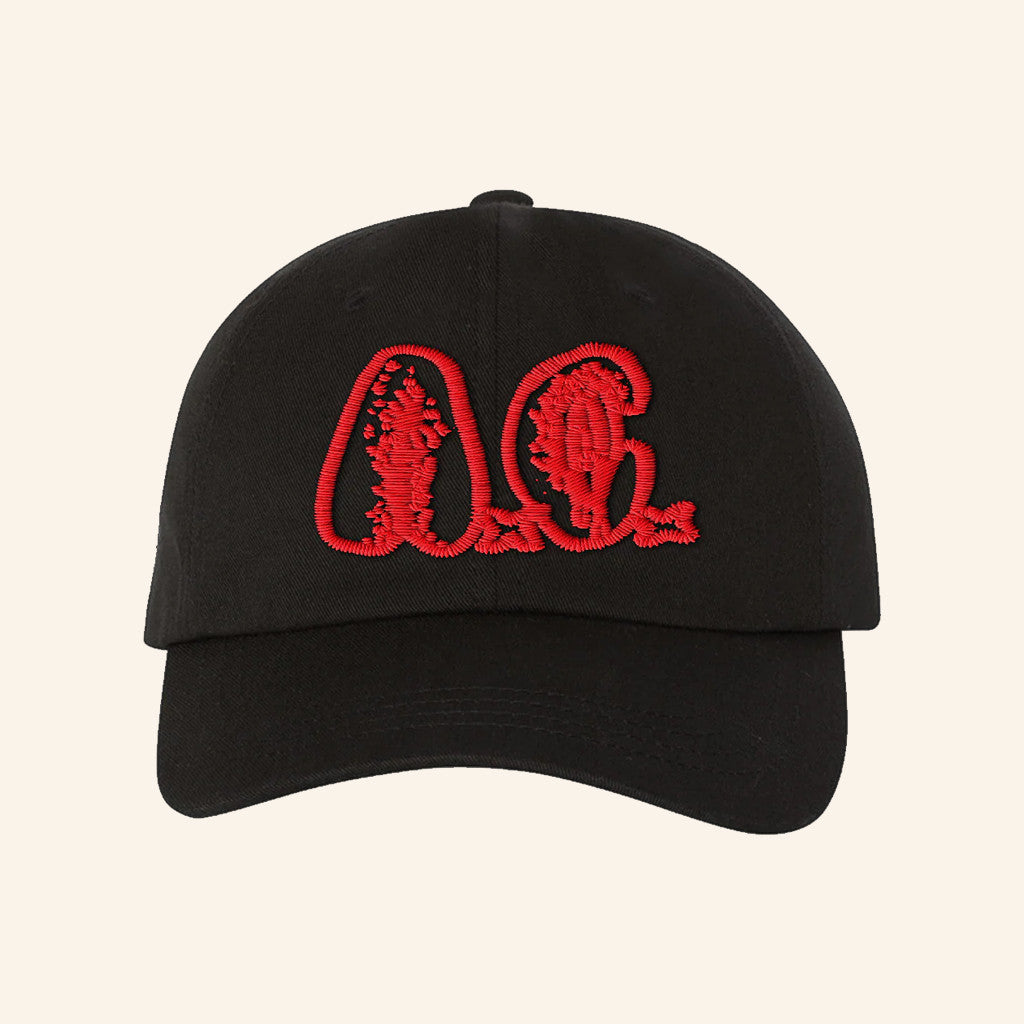 Beyond Human Merch AC Logo Embroidered Hat Best Christmas Gifts For Dad - Lilybirchmarket