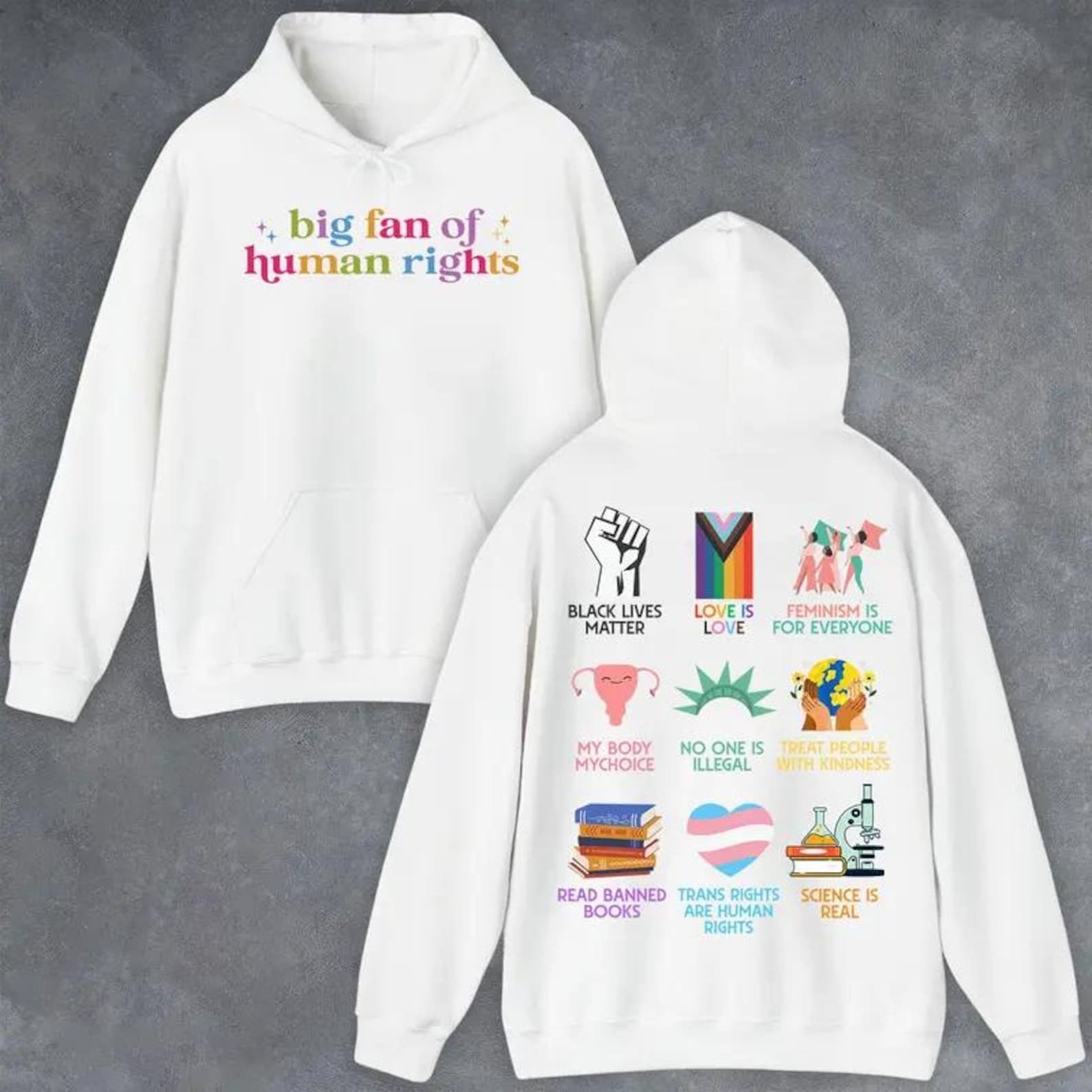 Big Fan Of Human Rights Hoodie Equality Social Justice Apparel Political Activist Gifts - Lilybirchmarket