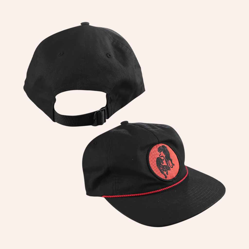 Black Pumas Merch Embroidered Hat Christmas Gifts For Husband - Lilybirchmarket