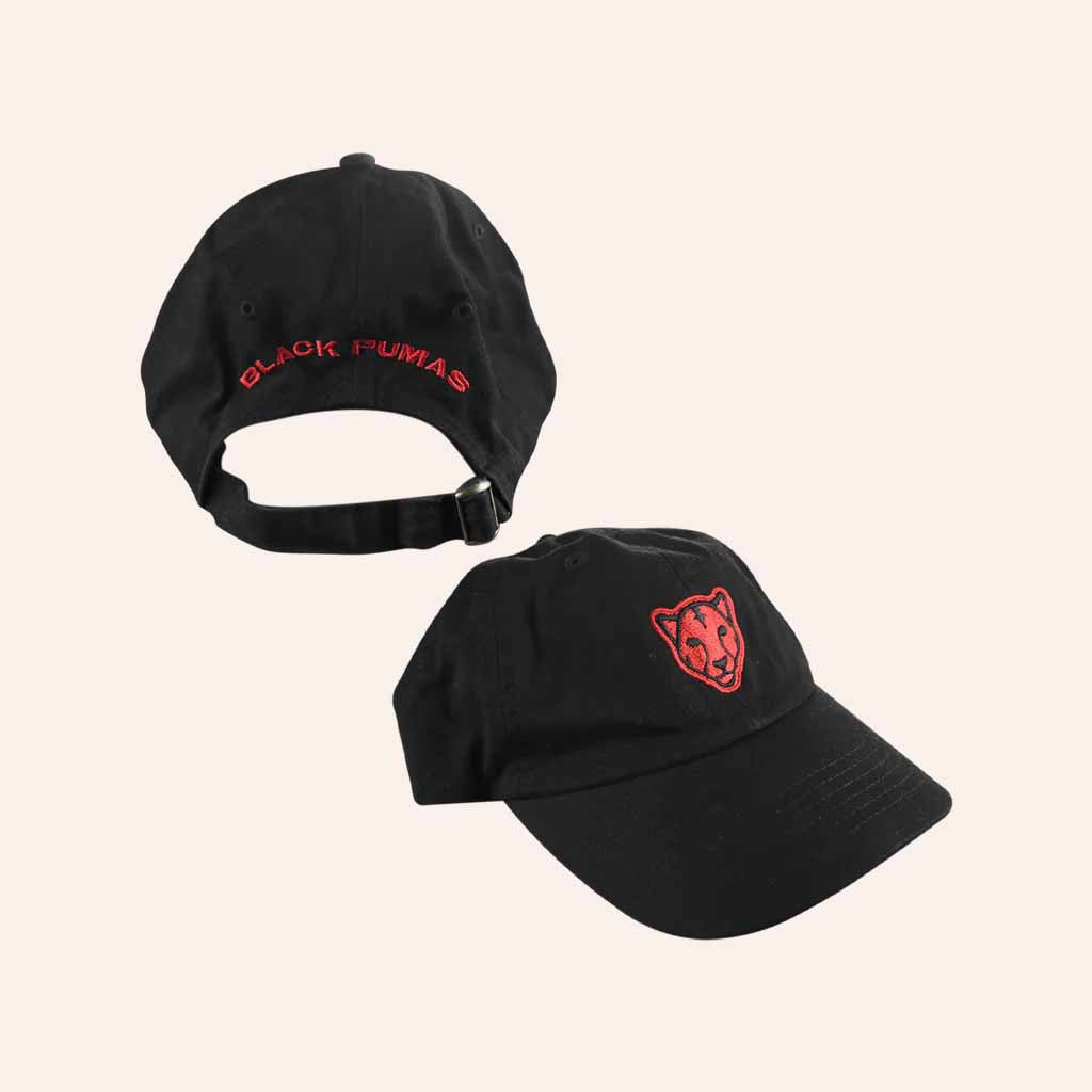 Black Pumas Merch Embroidered Hat Christmas Presents For Him - Lilybirchmarket