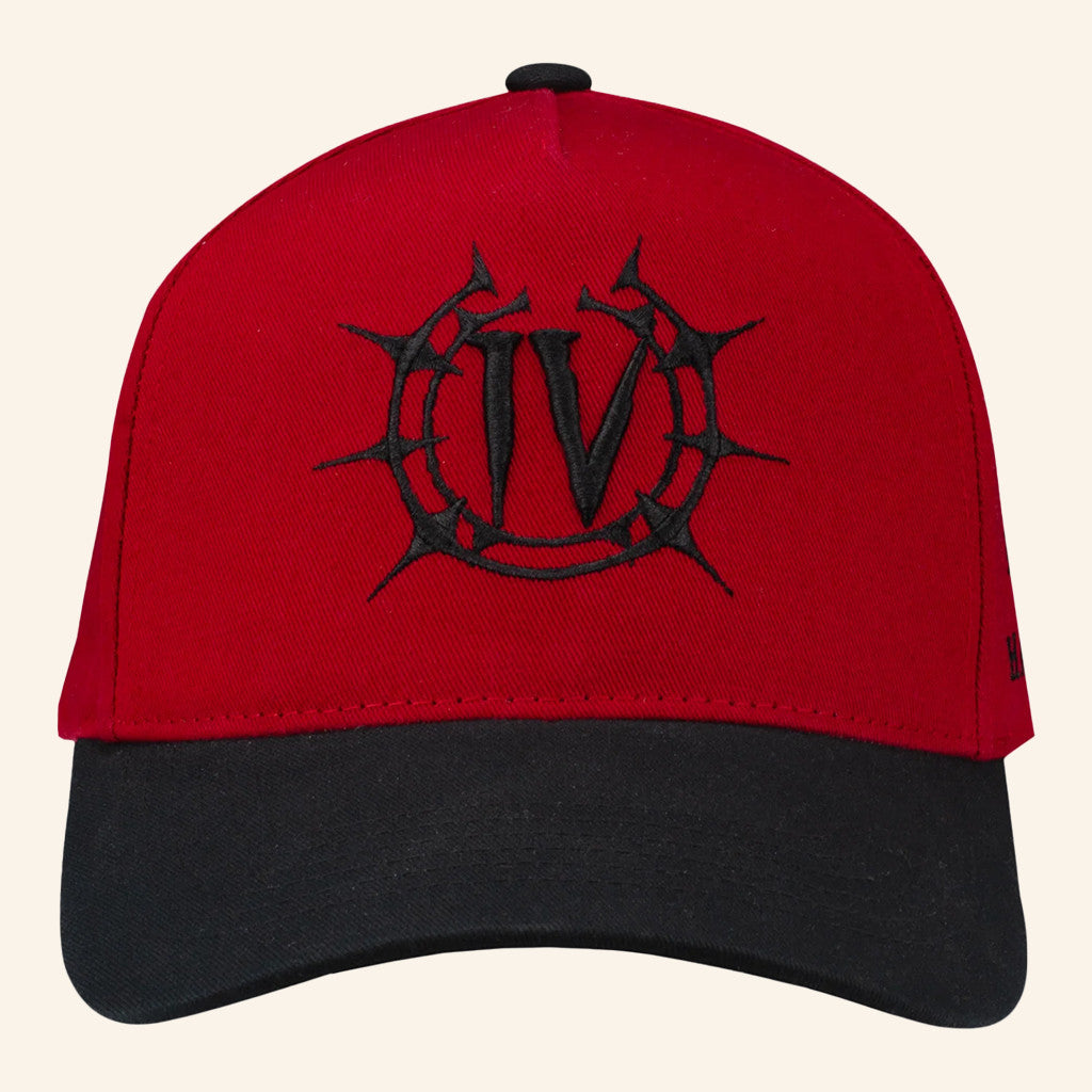 Blizzard Gear Merch Diablo IV Lord Of Hatred Embroidered Hat Presents For Brother - Lilybirchmarket