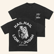 Brandon Lake Merch Lion Of Judah T-Shirt Unique Gifts For Music Lovers - Lily Birch Market