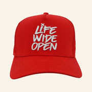 CBOYSTV Merch Life Wide Open Embroidered Hat Xmas Gifts For Dad - Lilybirchmarket