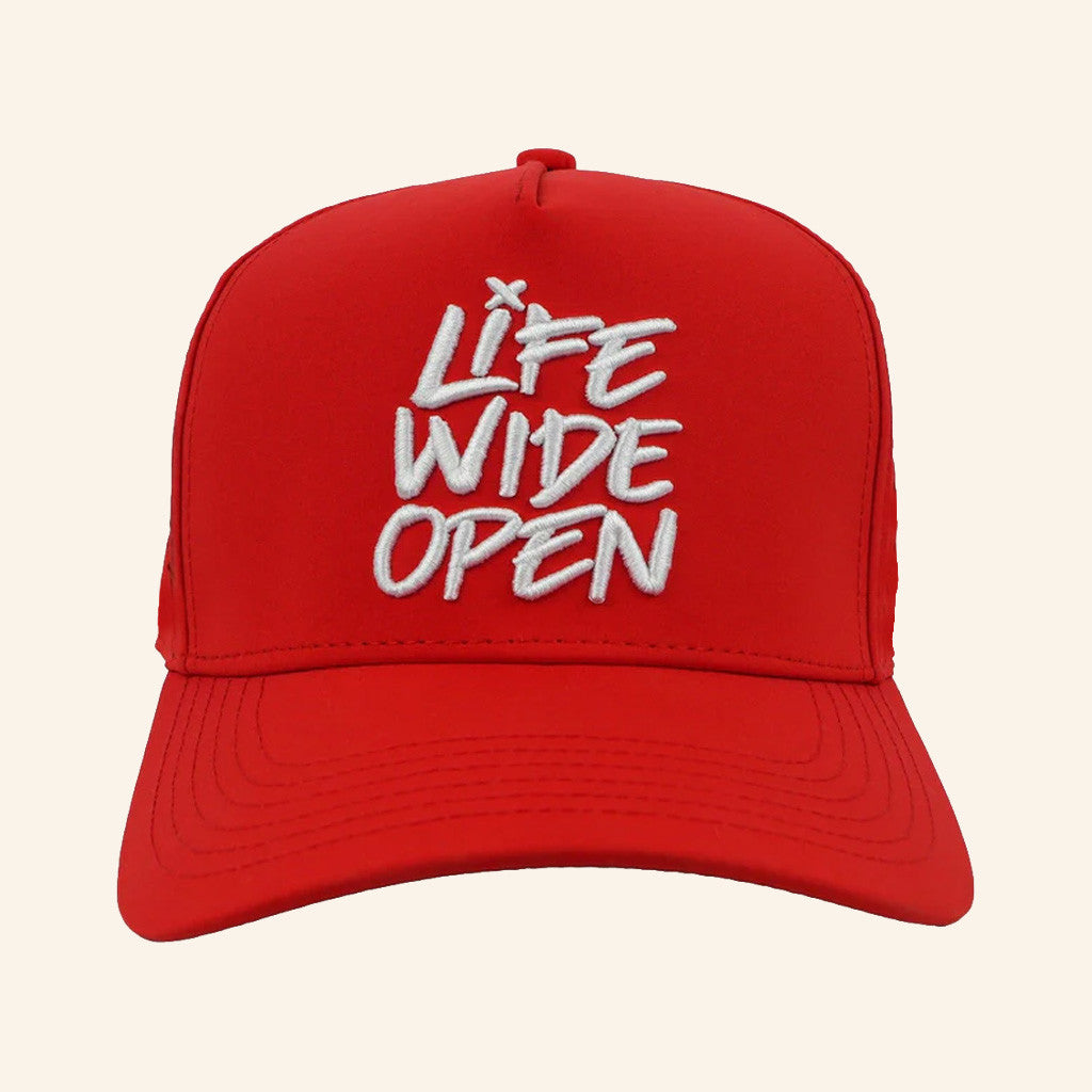 CBOYSTV Merch Life Wide Open Embroidered Hat Xmas Gifts For Dad - Lilybirchmarket