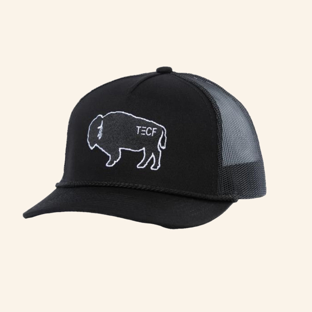 Chase Rice Merch Chase Rice Tecf Bison Trucker Hat Embroidered Gifts For Dudes - Lilybirchmarket