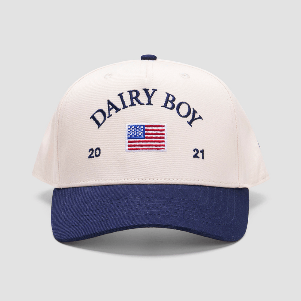 Dairy Boy Hat Embroidered Dairy Boy Merch Sentimental Father's Day Gifts - Lilybirchmarket