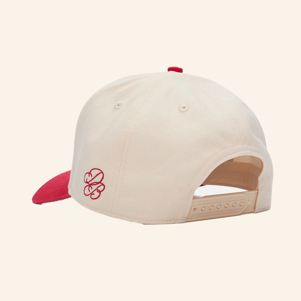 Dairy Boy Merch Study Break Varsity Embroidered Hat Unique Gifts For Him - Lilybirchmarket