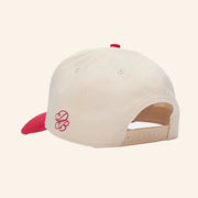 Dairy Boy Merch Study Break Varsity Embroidered Hat Unique Gifts For Him - Lilybirchmarket