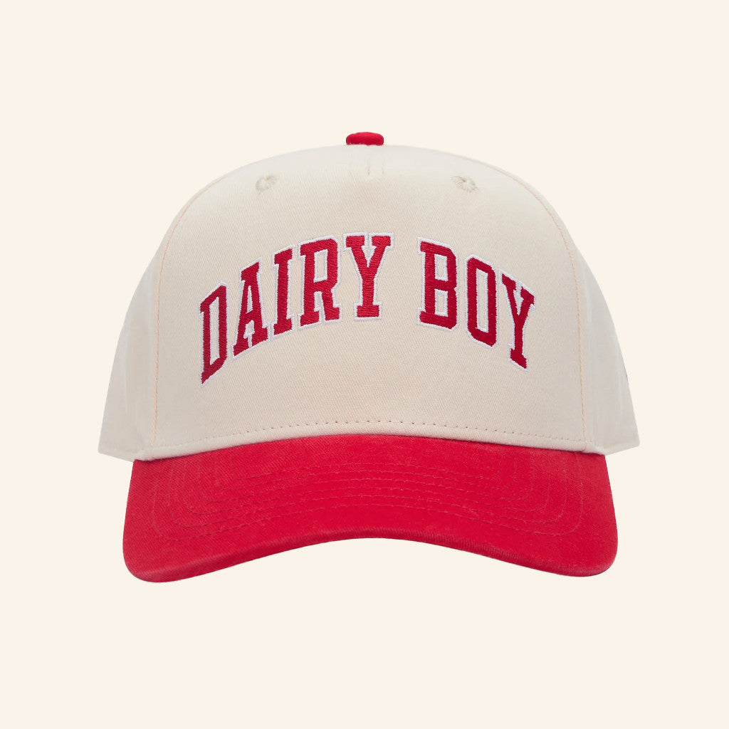 Dairy Boy Merch Study Break Varsity Embroidered Hat Unique Gifts For Him - Lilybirchmarket