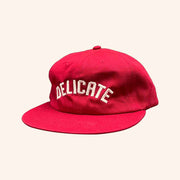 Delicate Steve Merch Delicate Embroidered Hat Christmas Gift Ideas For Dad - Lilybirchmarket