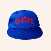 Delicate Steve Merch Delicate Embroidered Snapback Hat Christmas Ideas For Him - Lilybirchmarket