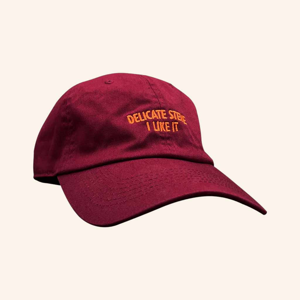 Delicate Steve Merch Delicate Steve I Like It Embroidered Hat Christmas Gifts For Him - Lilybirchmarket