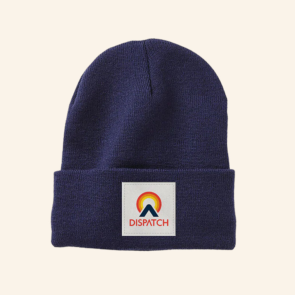 Dispatch Merch Retro Dispatch Beanie Christmas Presents For Friends - Lilybirchmarket