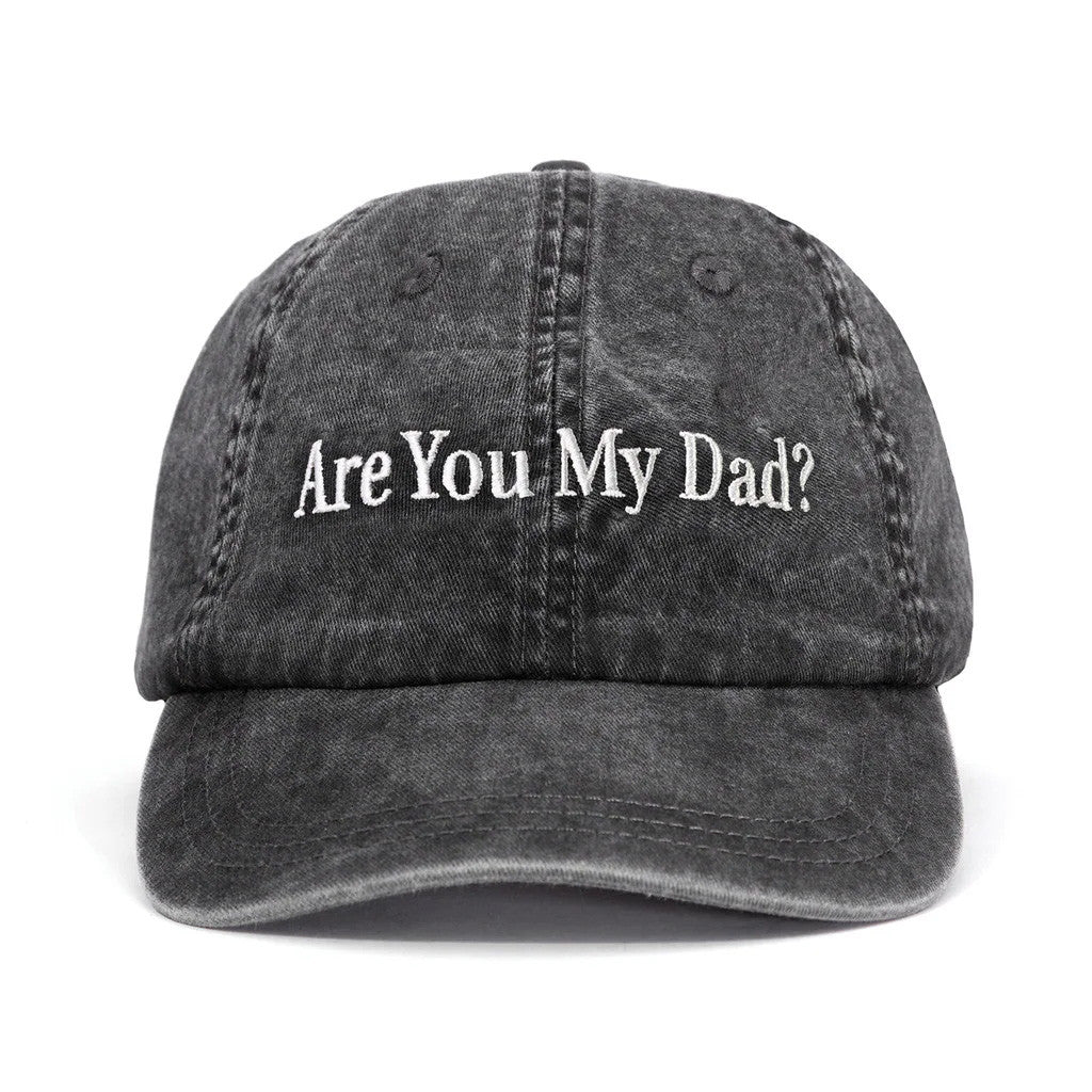 Dropout TV Merch Are You My Dad Embroidered Hat Gifts For Him Her - Lilybirchmarket