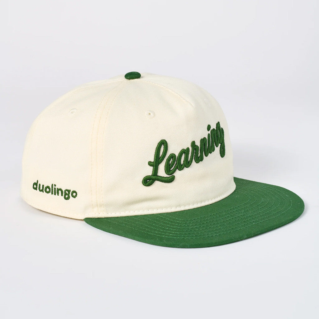 Duolingo Merch Learning Snapback Hat Embroidered Best Gifts For Him - Lilybirchmarket