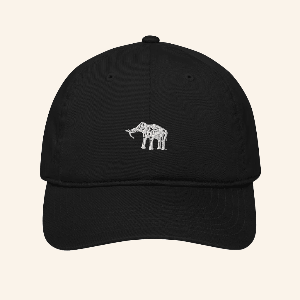 Elephant Sessions Merch Organic Hat Embroidered Best Gifts For Him - Lilybirchmarket