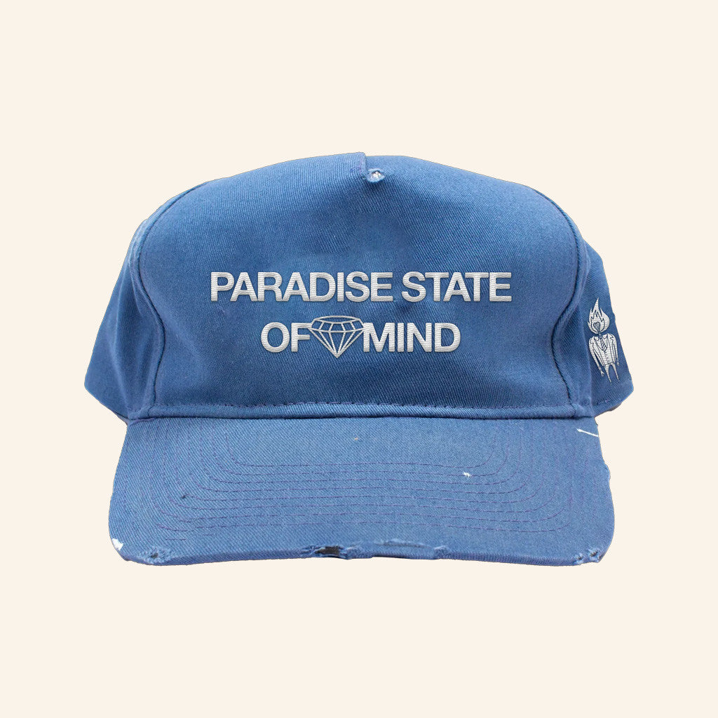 Foster The People Merch Paradise State Of Mind Hat Christmas Gifts For Him - Lilybirchmarket