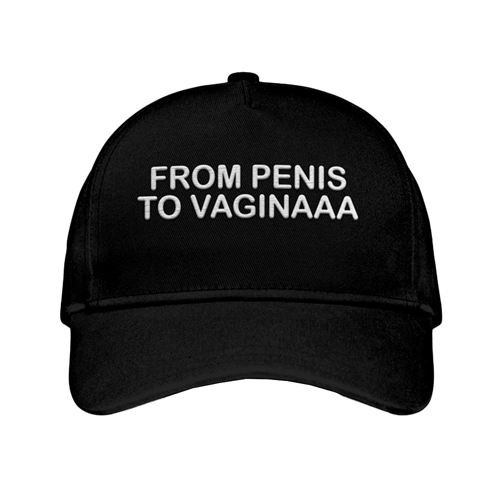 From Penis To Vaginaaa Hat Embroidered Humor Hat Gifts For Adults - Lilybirchmarket