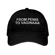 From Penis To Vaginaaa Hat Embroidered Humor Hat Gifts For Adults - Lilybirchmarket