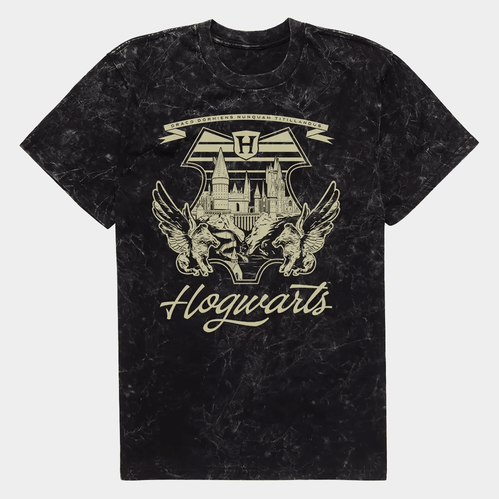 Harry Potter Merch Harry Potter Hogwarts T-Shirt Gift Ideas For Son - Lily Birch Market