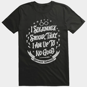 Harry Potter Merch Harry Potter Solemnly Swear No Good T-Shirt Present For Brother - Lily Birch Market