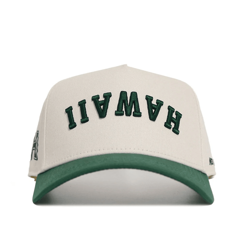Hawaii Upside Down Hat Trend Hawaii Reversed Hat Hawaii Merch Bonus Dad Gifts - Lilybirchmarket