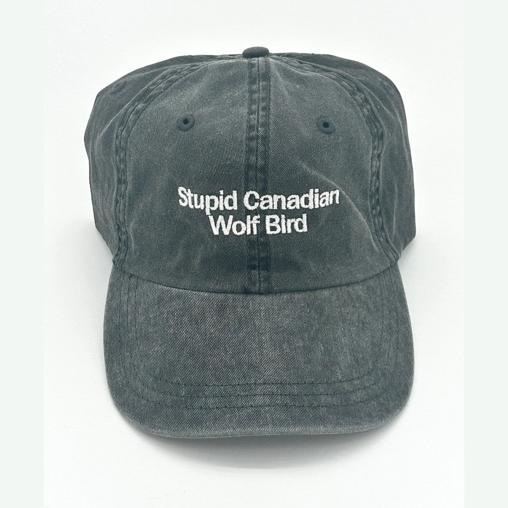 Heated Rivalry Merch Stupid Canadian Wolf Bird Hat Embroidered Christmas Gifts For Husband - Lilybirchmarket