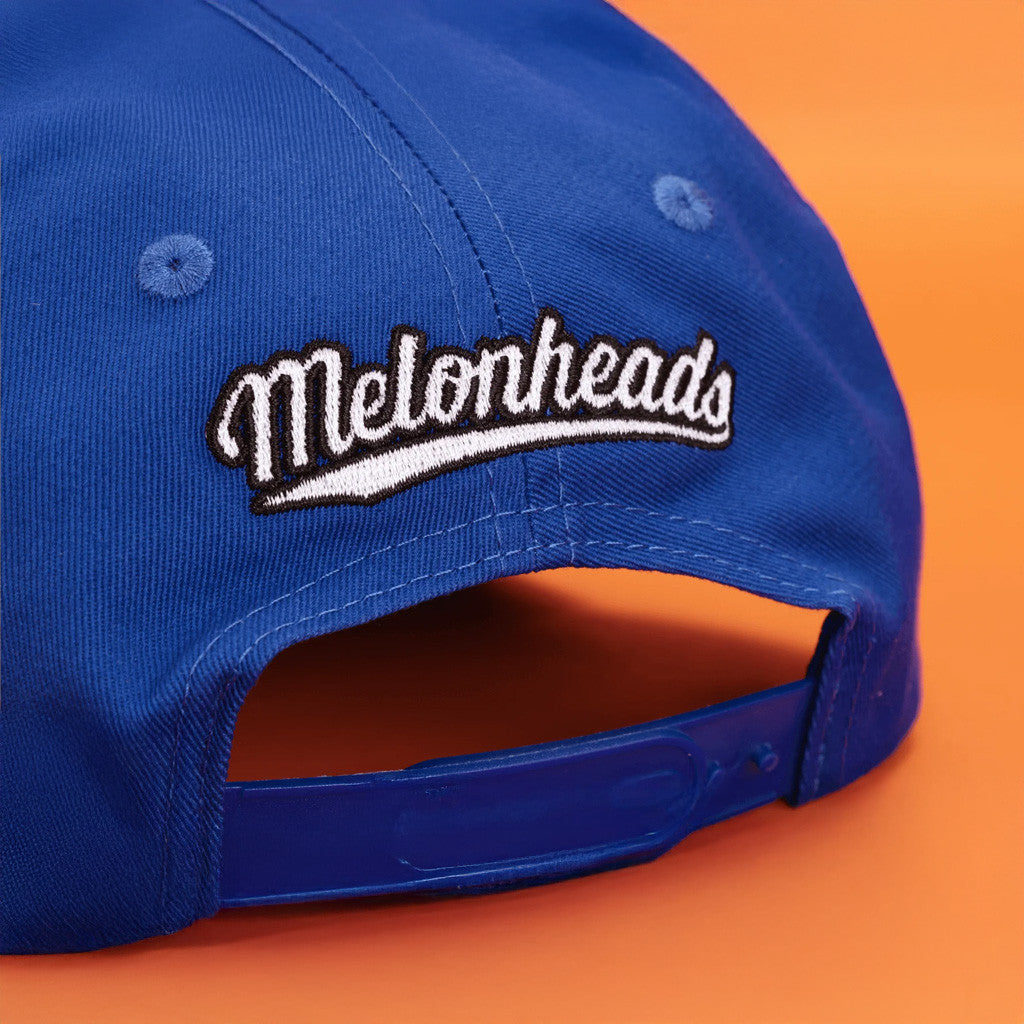 Homestar Runner Merch Backyard Baseball Melonheads Hat Embroidered Gifts For Son - Lilybirchmarket