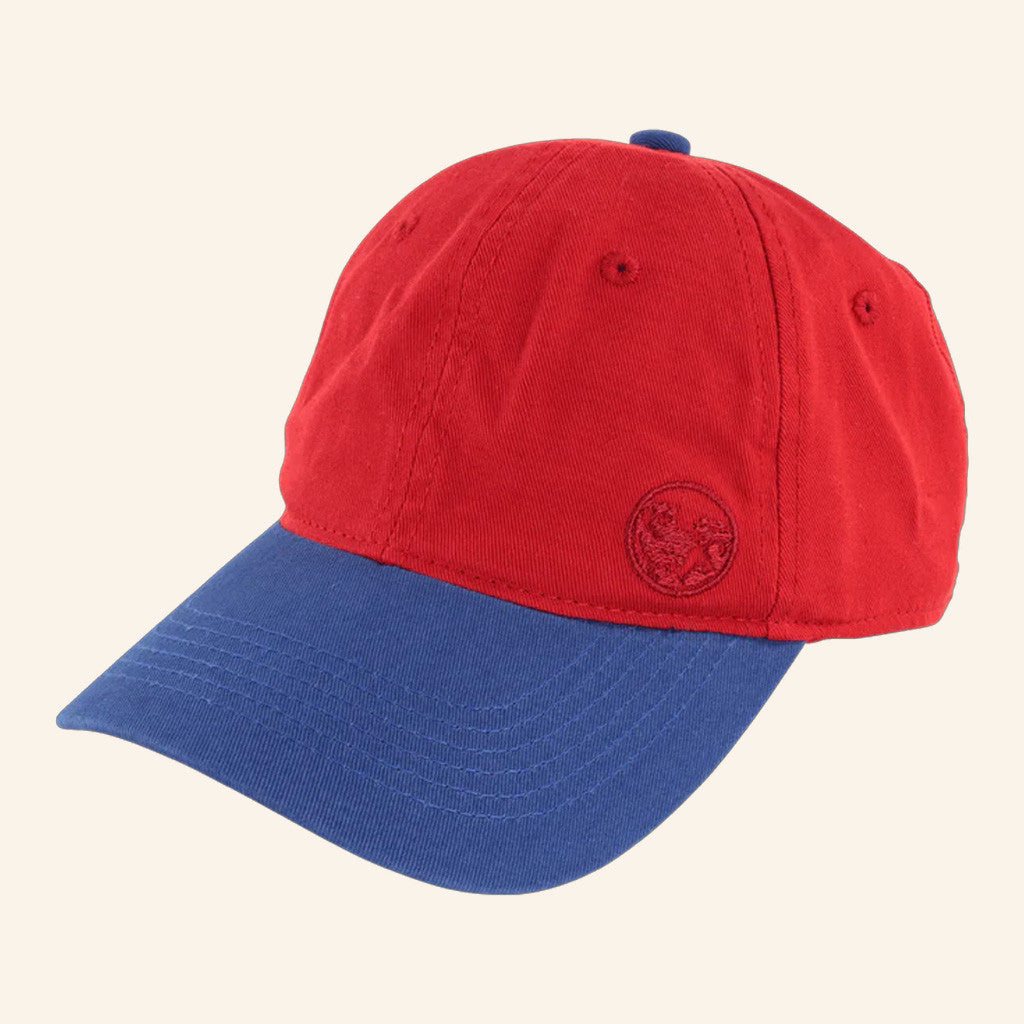 Homestar Runner Merch Hatness Hat Embroidered Christmas Gifts For Boyfriend - Lilybirchmarket