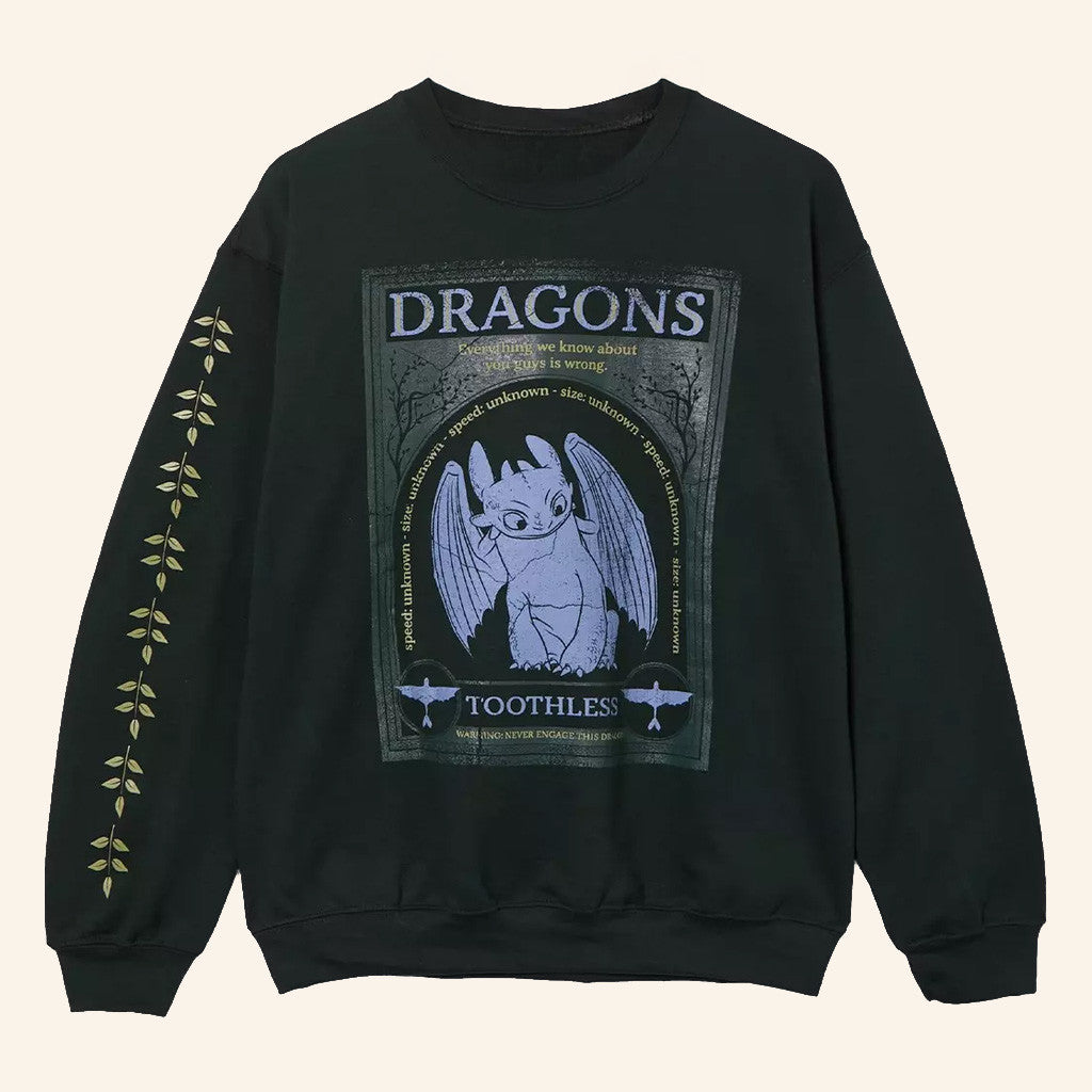 How To Train Your Dragon Merch Toothless Frame Portrait Sweatshirt Gifts For Dragon Lovers - Lilybirchmarket