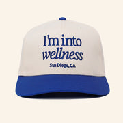 I'm Into Wellness Hat Embroidered San Diego CA Hat Gifts For Friends - Lilybirchmarket