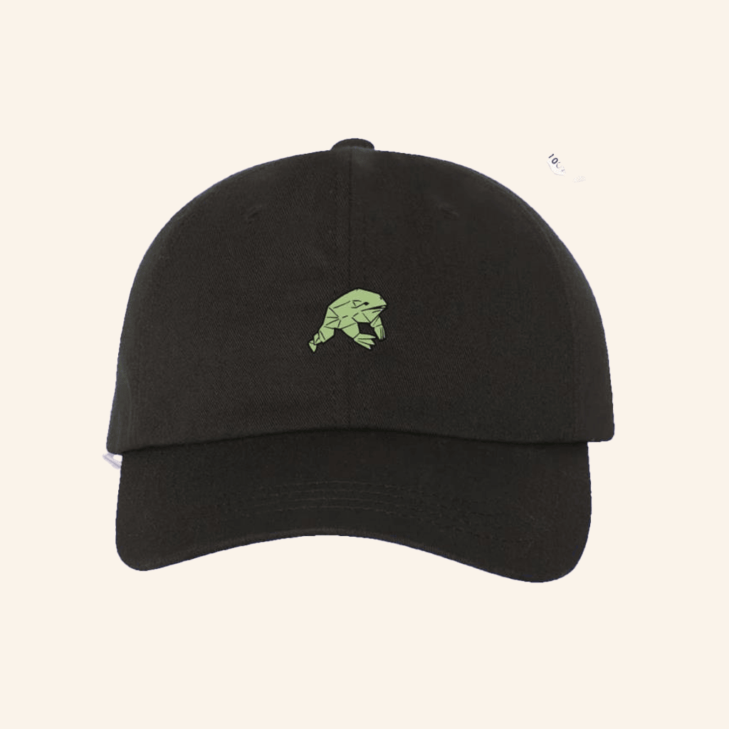 Knuckle Puck Merch Embroidered Frog Hat Gifts For Friends - Lilybirchmarket