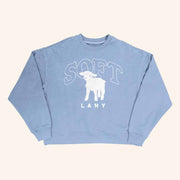 Lany Merch Soft Lany Sweatshirt Gift Ideas For Girlfriend - Lilybirchmarket