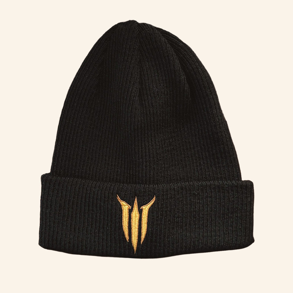 Larian Merch Baldur's Gate 3 Logo Beanie Top Christmas Gifts For Brother - Lilybirchmarket