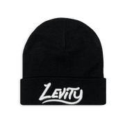Levity Merch 2555 Levity Beanie Father's Day Gifts For Husband - Lilybirchmarket