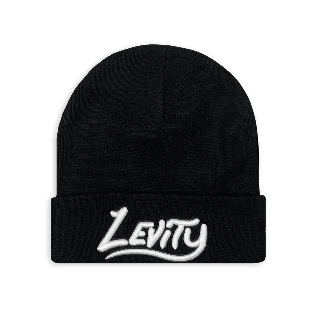 Levity Merch 2555 Levity Beanie Father's Day Gifts For Husband - Lilybirchmarket