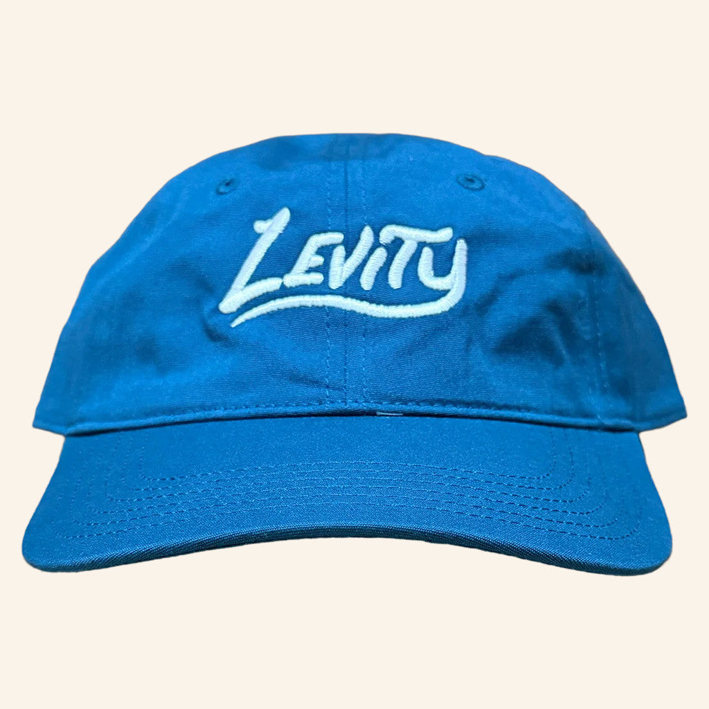 Levity Merch Levity Blue Embroidered Hat Best Birthday Gift For Husband - Lilybirchmarket