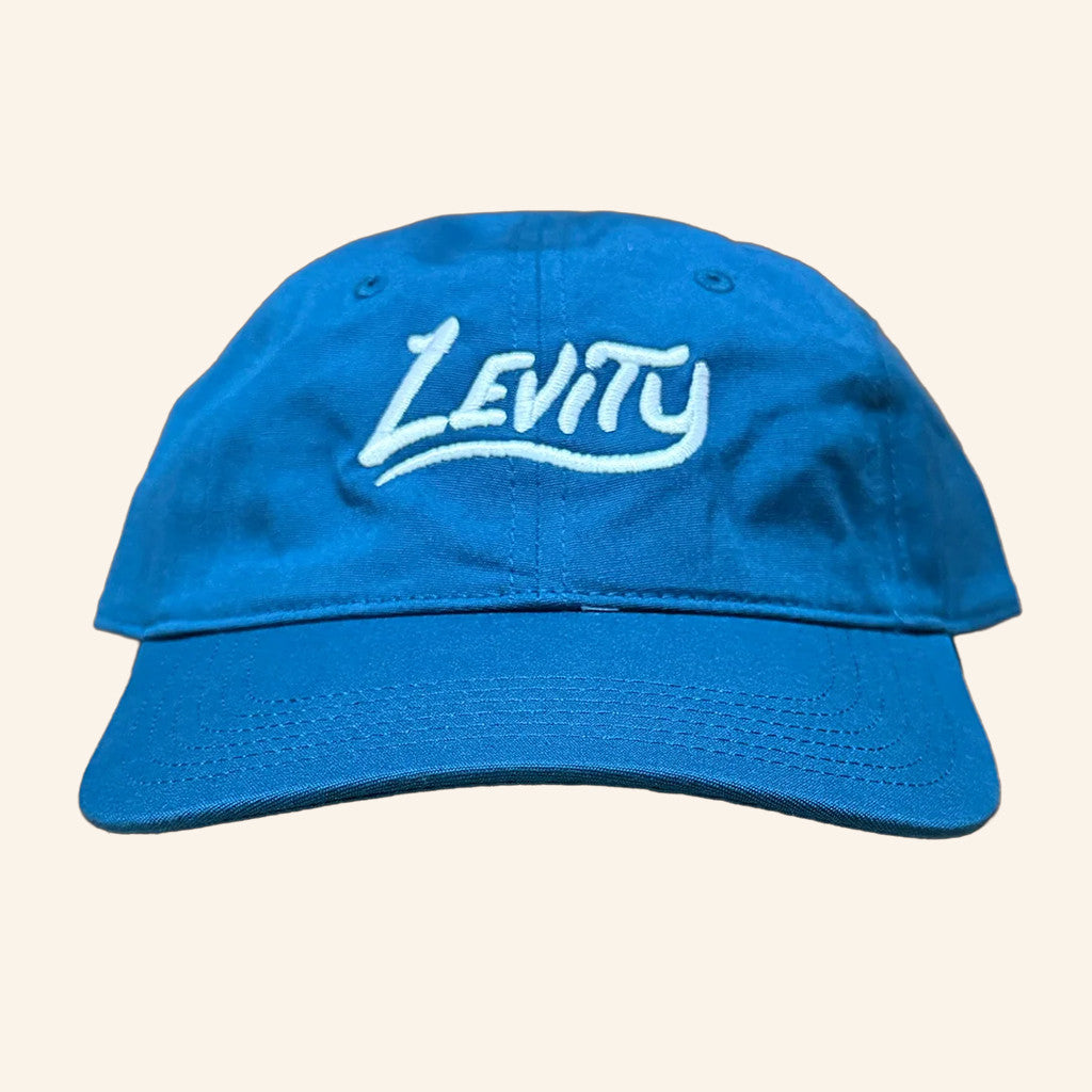 Levity Merch Levity Embroidered Hat Birthday Gift Ideas For Husband - Lilybirchmarket