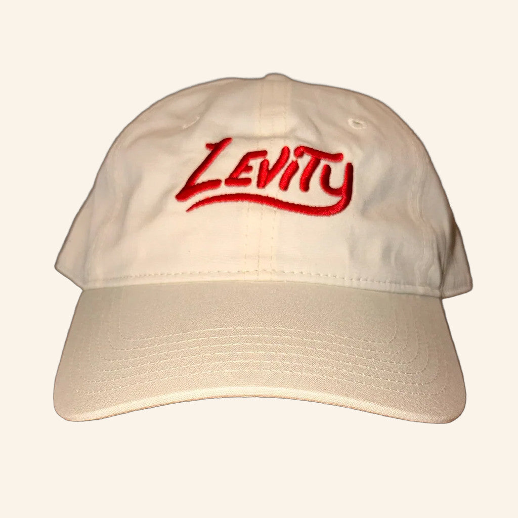 Levity Merch Levity Logo Embroidered Hat Unique Gift For Boyfriend - Lilybirchmarket