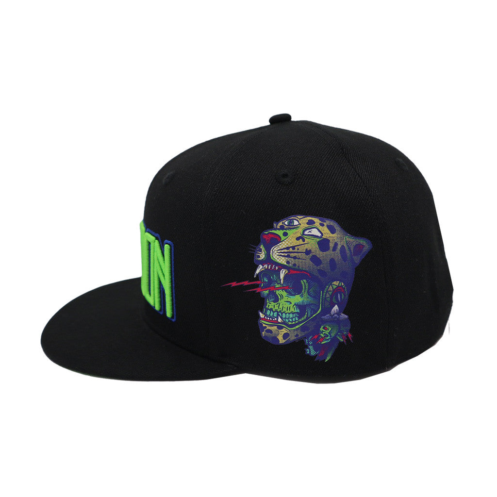 Mastodon Merch Embroidered Snapback Hat Best Gifts For Husband - Lilybirchmarket