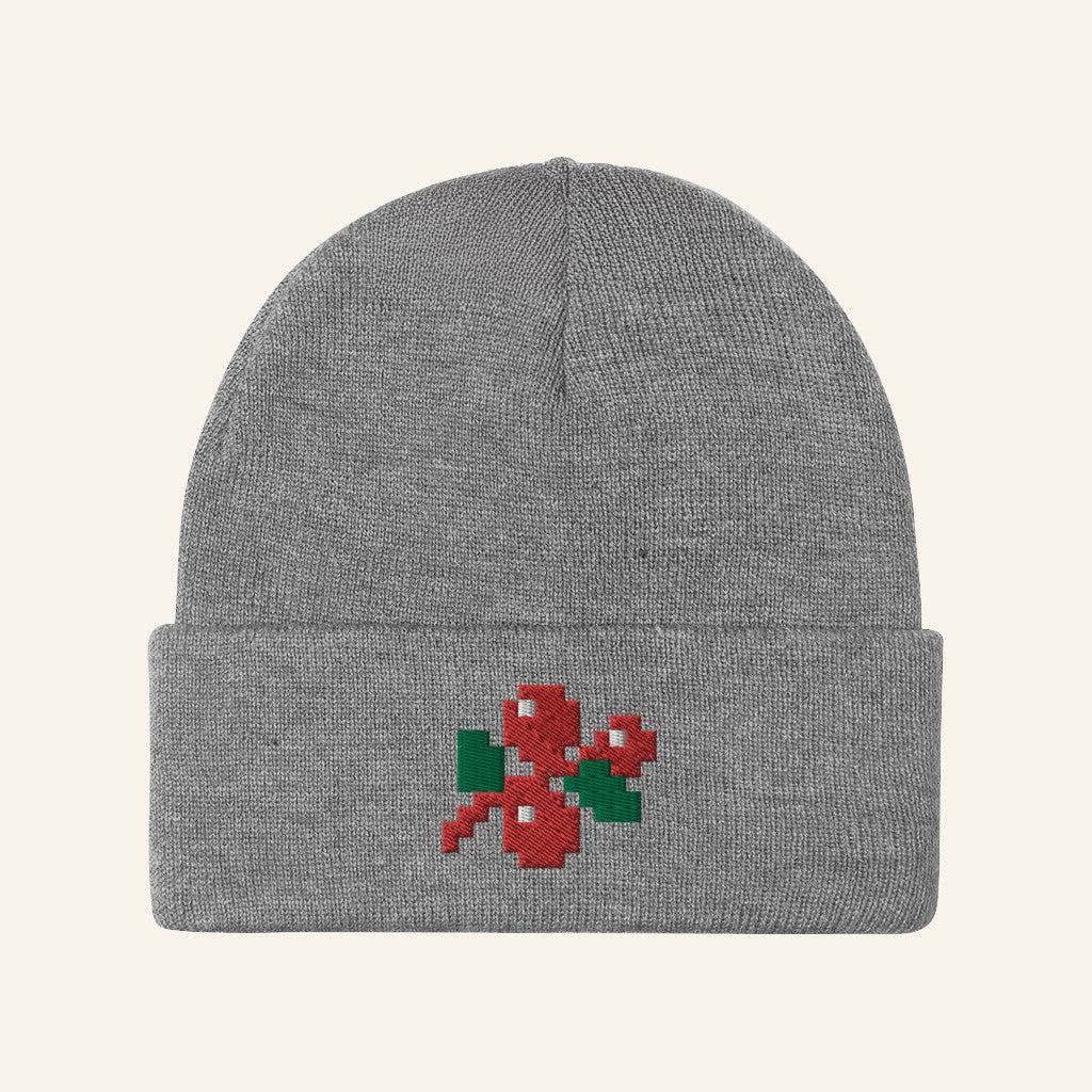 Minecraft Merch Minecraft Holly Pom Beanie Gift Ideas For Girlfriend - Lilybirchmarket