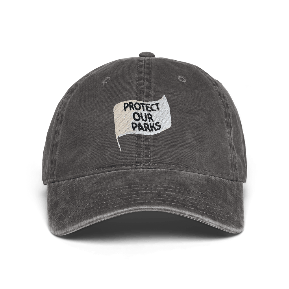 National Park After Dark Merch Hat Protect Our Parks Embroidered Hat - Lilybirchmarket