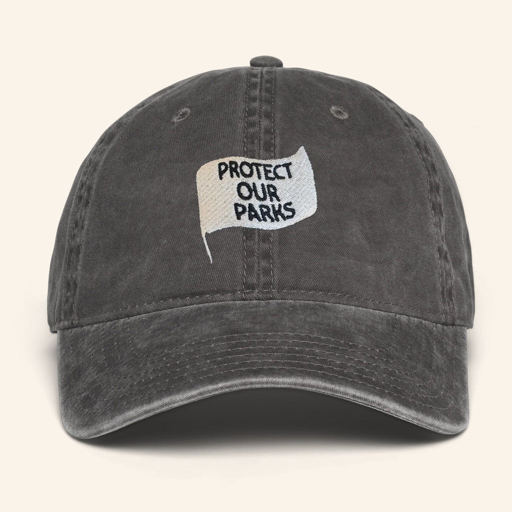 National Park After Dark Merch Protect Our Parks Embroidered Hat Gift Ideas For Dad - Lilybirchmarket