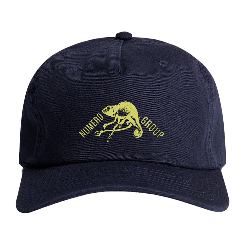 Numero Group Merch Chameleon Hat Presents For Dad - Lilybirchmarket