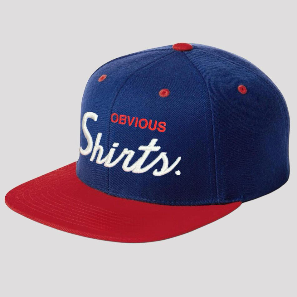 OBVIOUS SHIRTS Merch Obvious Shirts Script Embroidered Snapback Hat Birthday Ideas For Him - Lilybirchmarket